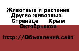 Животные и растения Другие животные - Страница 3 . Крым,Октябрьское